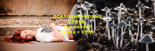 амф Алексин