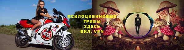 амф Алексин